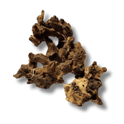 Coral Wood Small - 10-15cm - Aquatic Supplies Australia