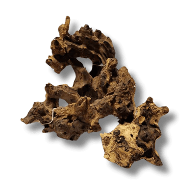 Coral Wood Small - 10-15cm - Aquatic Supplies Australia