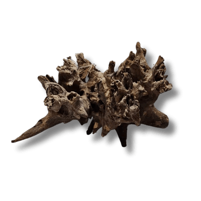 Coral Wood Small - 10-15cm - Aquatic Supplies Australia
