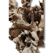 Coral Wood Small - 10-15cm - Aquatic Supplies Australia
