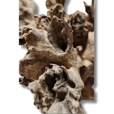 Coral Wood Small - 10-15cm - Aquatic Supplies Australia