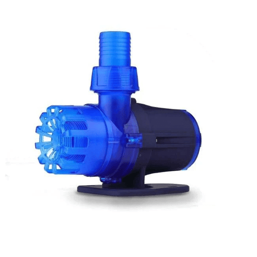 Dalua Great White Return Pump - Aquatic Supplies Australia