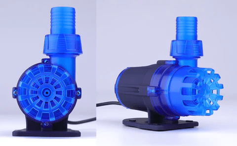 Dalua Great White Return Pump - Aquatic Supplies Australia