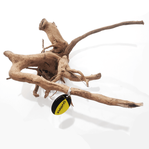 Dymax Tweety Wood - Aquatic Supplies Australia
