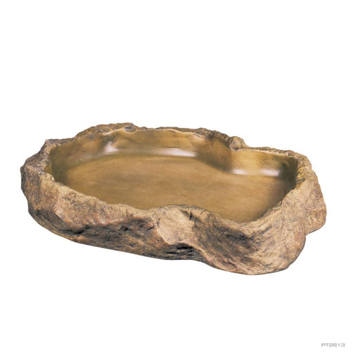 Exo Terra Feeding Dish Large - Aquatic Supplies Australia