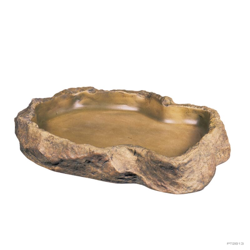 Exo Terra Feeding Dish X-Large - Aquatic Supplies Australia