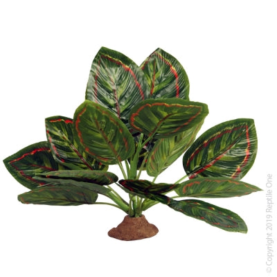 Reptile One Marantha with Resin Base 15 x 10 x 28cm