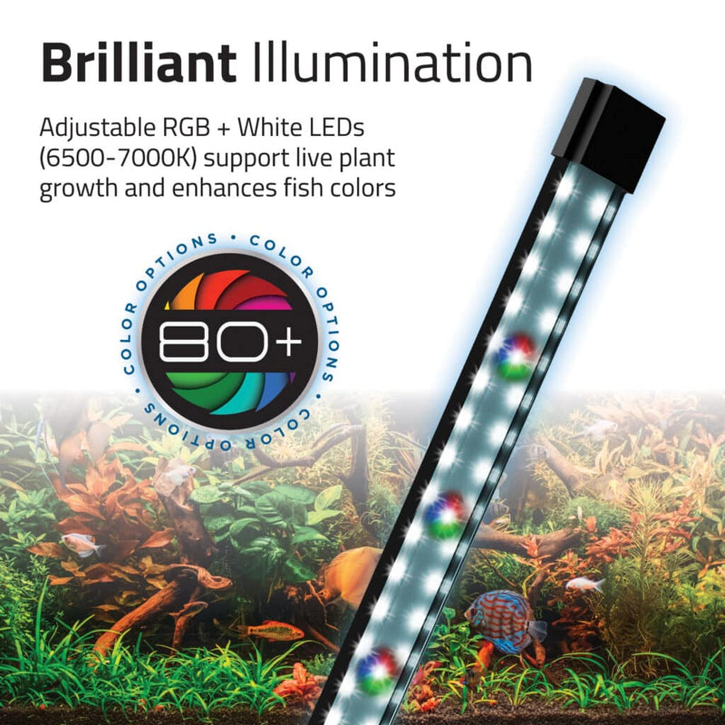 Fluval FLEX 2.0 Aquarium Kit 57L Black (NEW MODEL) - Aquatic Supplies Australia