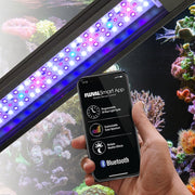 Fluval Sea FLEX Saltwater Aquarium Kit 123L - Aquatic Supplies Australia