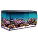 Fluval Sea FLEX Saltwater Aquarium Kit 123L - Aquatic Supplies Australia