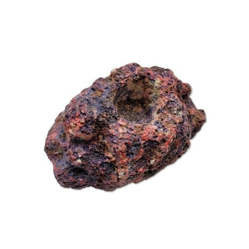 Java Reef Rocks Frag Rocks 30 Pack - Aquatic Supplies Australia