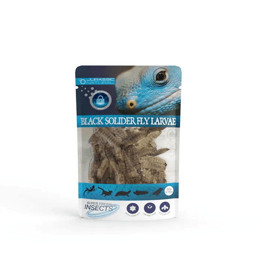 Jurassic Natural Super Fresh Insects Black Soldier Fly Larvae 20g - Aquatic Supplies Australia