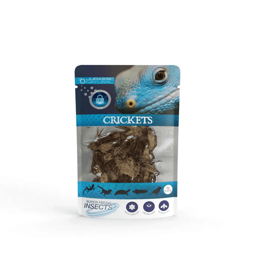 Jurassic Natural Super Fresh Insects Crickets 6g/15 Pieces - Aquatic Supplies Australia
