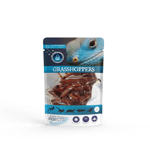 Jurassic Natural Super Fresh Insects Grasshopper 8 Pieces - Aquatic Supplies Australia
