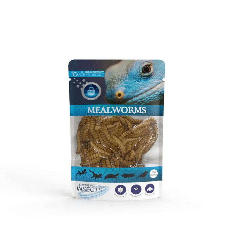 Jurassic Natural Super Fresh Insects Mealworm 20g - Aquatic Supplies Australia