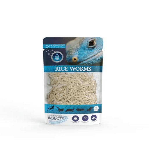 Jurassic Natural Super Fresh Insects Riceworms 15g - Aquatic Supplies Australia
