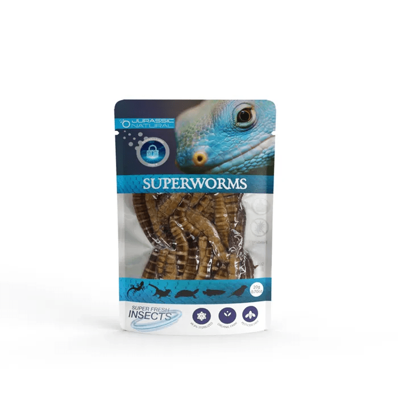 Jurassic Natural Super Fresh Insects Superworm 20g - Aquatic Supplies Australia