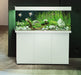 Juwel Rio 240 LED Aquarium (240L) - Aquatic Supplies Australia