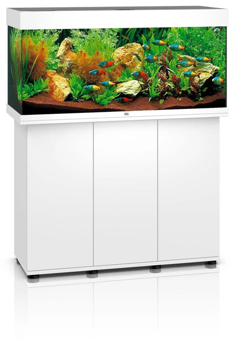 Juwel Rio 240 LED Aquarium (240L) - Aquatic Supplies Australia
