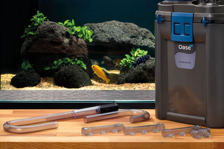 Oase BioMaster VERSION 2 Thermo 350 Canister Filter (350L, 1100L/h) - Aquatic Supplies Australia