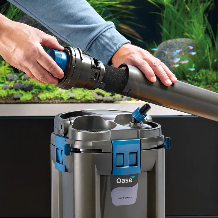 Oase BioMaster VERSION 2 Thermo 600 Canister Filter (600L, 1250L/h) - Aquatic Supplies Australia