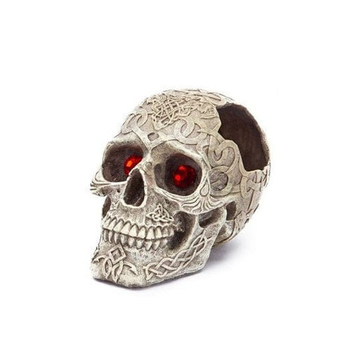 Penn Plax Skull Gazor 17.2cm - Aquatic Supplies Australia