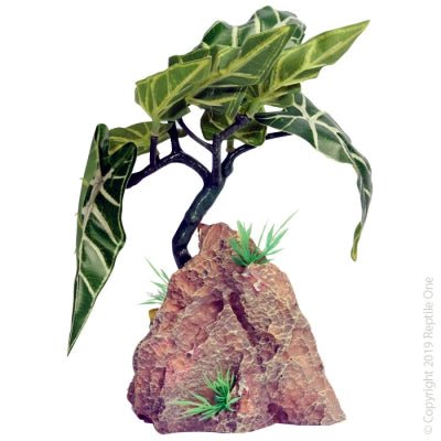 Reptile One Alocasia with Resin Base 12 x 13 x 20cm - Aquatic Supplies Australia