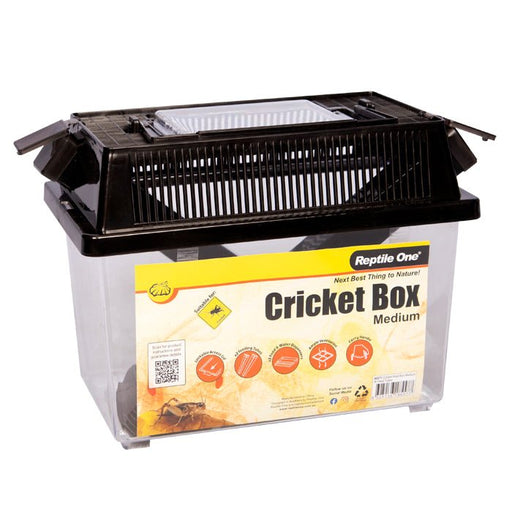 Reptile One Cricket Holding Box - Aquatic Supplies Australia