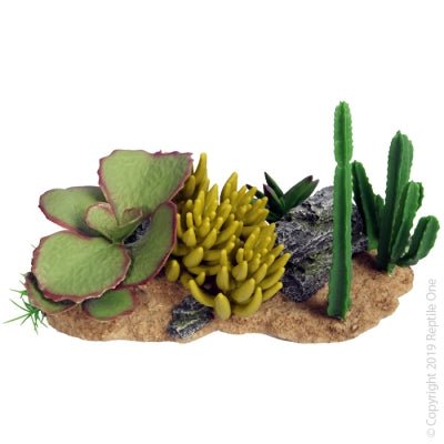 Reptile One Succulent Garden with Resin Base 30 x 16.5 x 17.5cm - Aquatic Supplies Australia