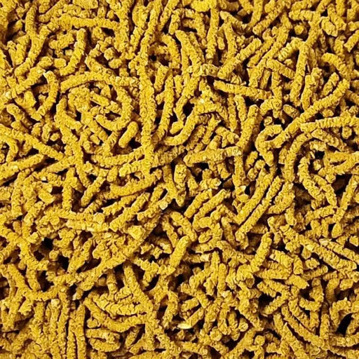SAS Spectrum Gold Pellets 30g - Aquatic Supplies Australia