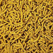 SAS Spectrum Gold Pellets 30g - Aquatic Supplies Australia