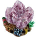 Action Aquarium Bubblers Soft Coral Barnacles Aquatic Supplies Australia