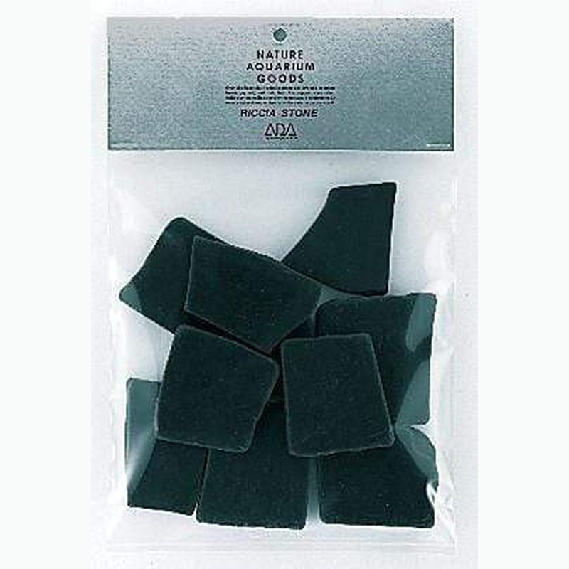 ADA Riccia Stone 10pc - Aquatic Supplies Australia