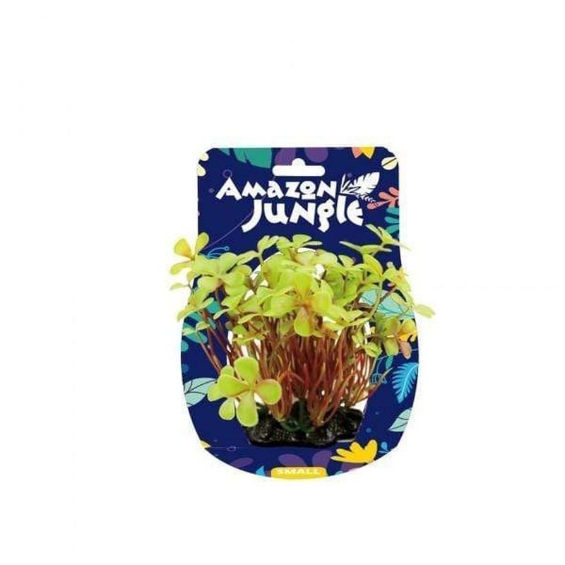 Amazon Jungle 4 Leaf Clover Display 10-12cm - Aquatic Supplies Australia