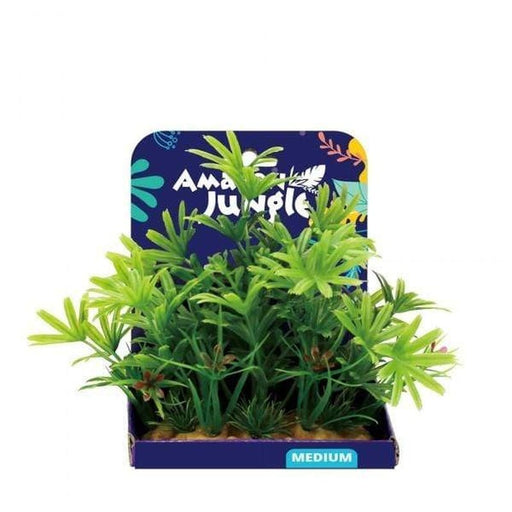 Amazon Jungle 5 Finger Plant Display 15cm - Aquatic Supplies Australia