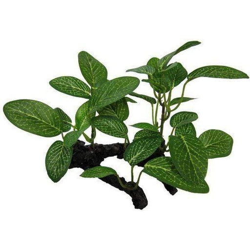 Amazon Jungle African Shade Leaf on Log - Aquatic Supplies Australia