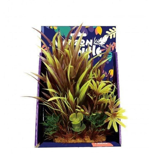 Amazon Jungle Amazon Spike Grass Display 20cm - Aquatic Supplies Australia