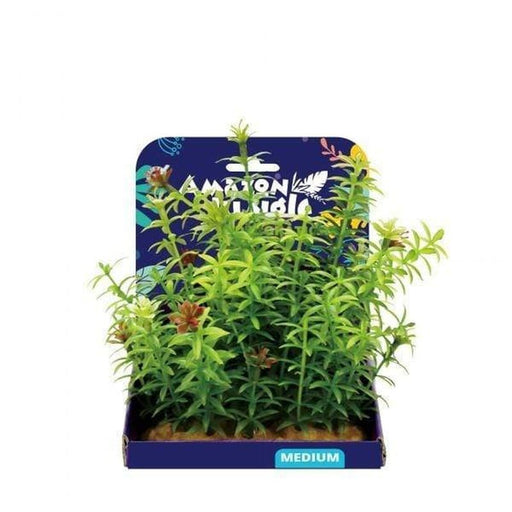Amazon Jungle Anacharis Display 15cm - Aquatic Supplies Australia