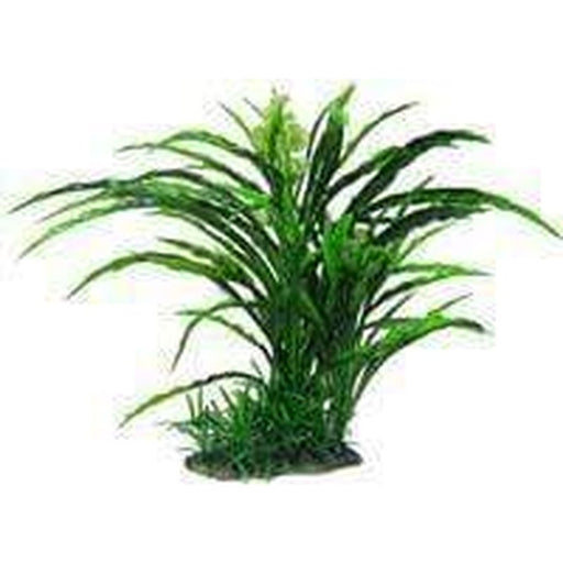 Amazon Jungle Flowering Spinifex Tree - Aquatic Supplies Australia