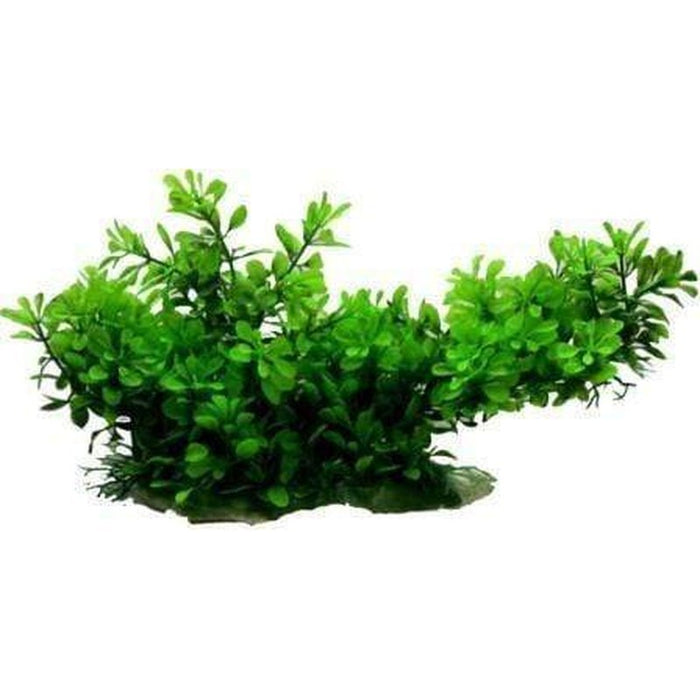 Amazon Jungle Hygro Branch Log Large - Aquatic Supplies Australia