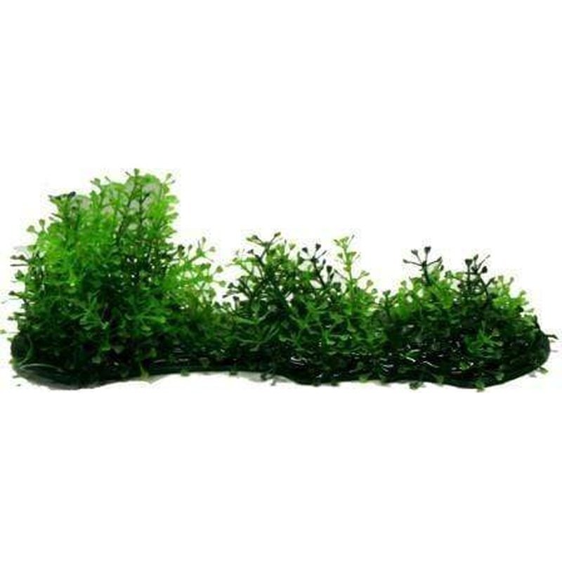 Amazon Jungle Hygro Covered Log Short - Aquatic Supplies Australia