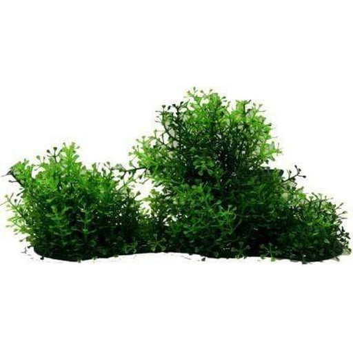 Amazon Jungle Hygro Covered Log Tall - Aquatic Supplies Australia