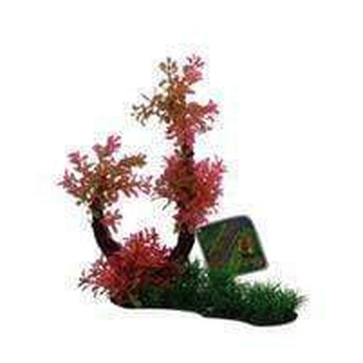 Amazon Jungle Hygro Tree Branch Red - Aquatic Supplies Australia
