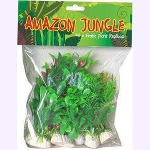 Amazon Jungle Mixed Plants 6 Pack - Aquatic Supplies Australia