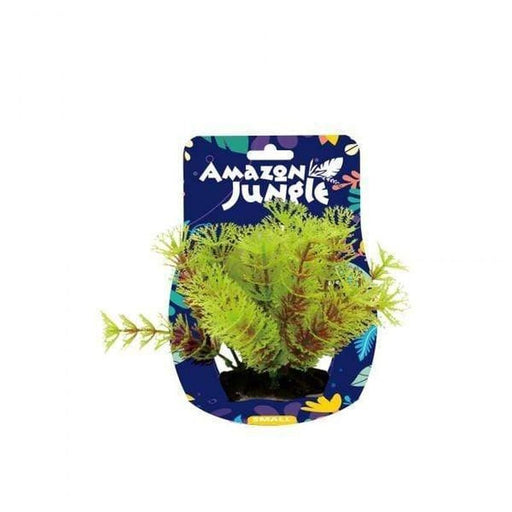 Amazon Jungle Myriophyllum Display 10 - 12cm - Aquatic Supplies Australia