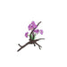 Amazon Jungle Orchid Flowers on Branch 25cm - Aquatic Supplies Australia