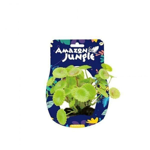 Amazon Jungle Pennywort Display 10-12cm - Aquatic Supplies Australia