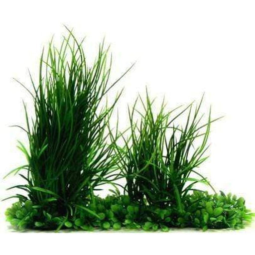 Amazon Jungle Phoenix Grass & Mini Hygro Pad - Aquatic Supplies Australia