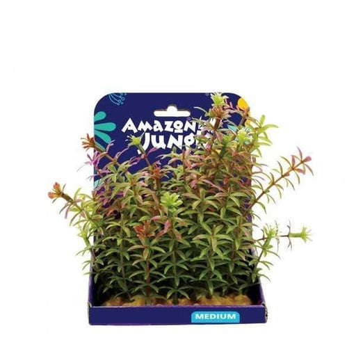 Amazon Jungle Red Anacharis Display 15cm - Aquatic Supplies Australia