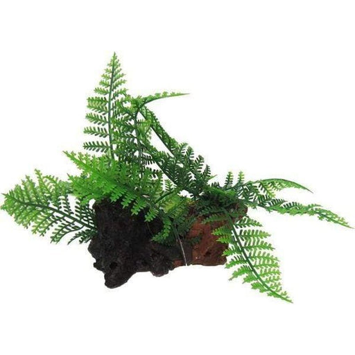 Amazon Jungle Twin Ferns on Log - Aquatic Supplies Australia